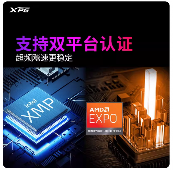 威刚XPG D300G DDR5内存条RGB灯条16/24/